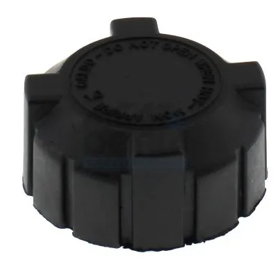 Radyatör Yedek Su Depo Kapağı  BSG 25-551-005