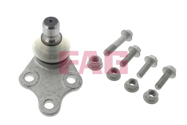 FAG 825025010 Rotil Alt