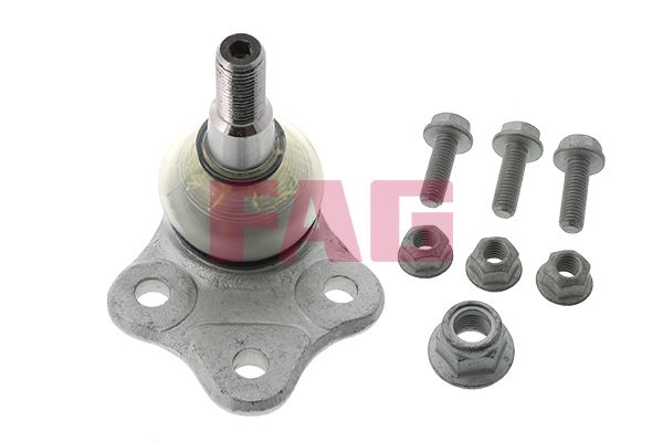 FAG 825029810 Rotil Alt