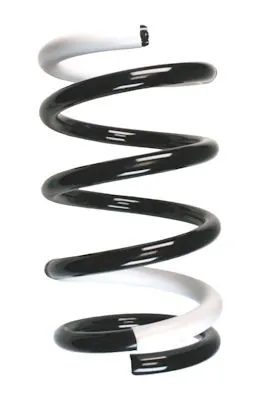 SACHS 994048 Helezon Yayı Arka