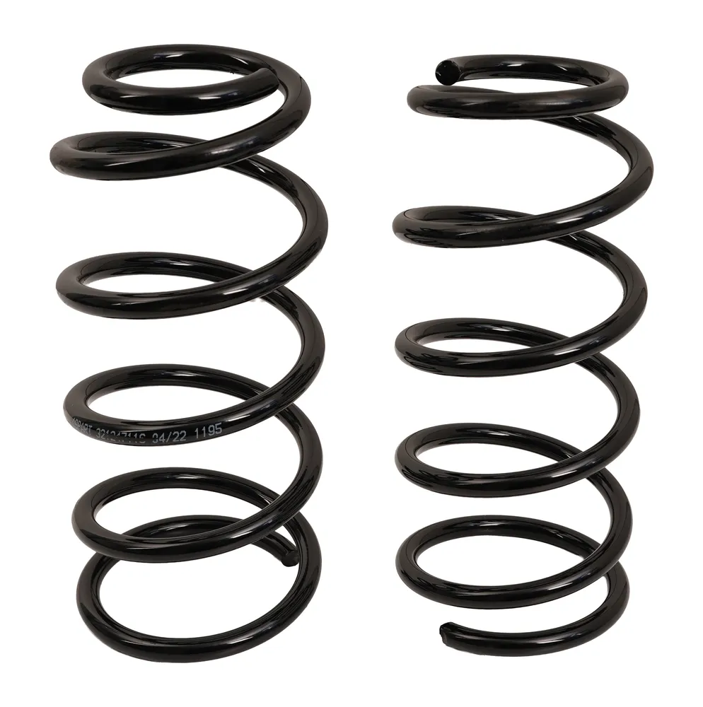 SACHS 994119 Helezon Yayı Arka