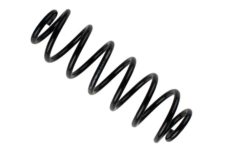 SACHS 994328 Helezon Yayı Arka