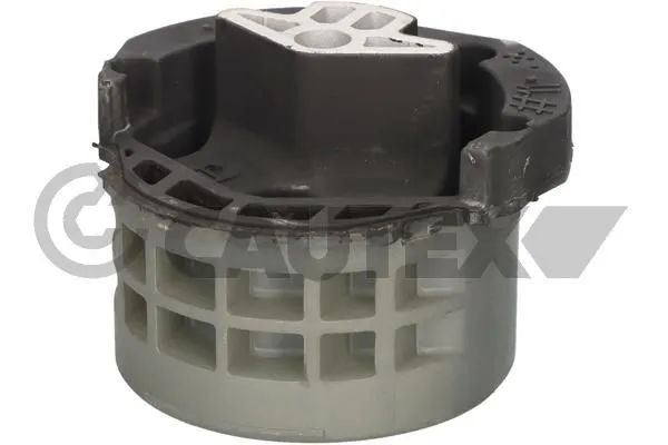 Şanzıman Takozu Arka RIW BW12129