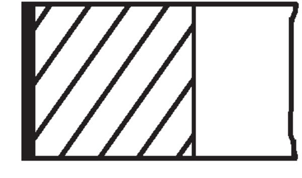 Segman Seti MAHLE 001 06 N1