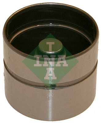 INA 420011810 Supap Itıcı Tusu - 2. Görsel