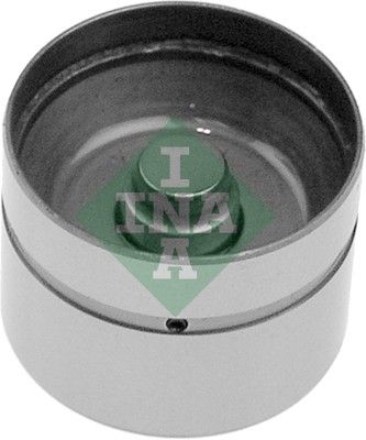INA 420004910 Supap Itıcı
