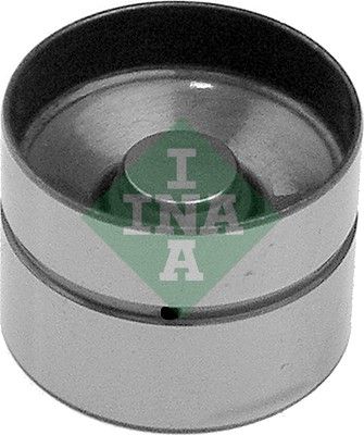 INA 420002210 Supap Itıcısı