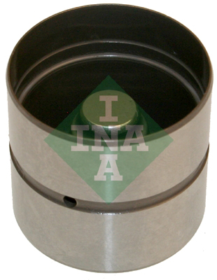 INA 420022010 Supap Itıcısı - . Görsel