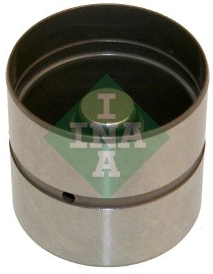 INA 420022010 Supap Itıcısı - . Görsel