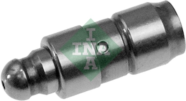 INA 420007210 Supap Tusu - . Görsel