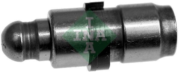 INA 420019510 Supap Itıcı