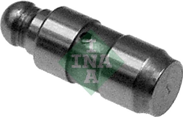 INA 420018110 Supap Itıcı Tusu