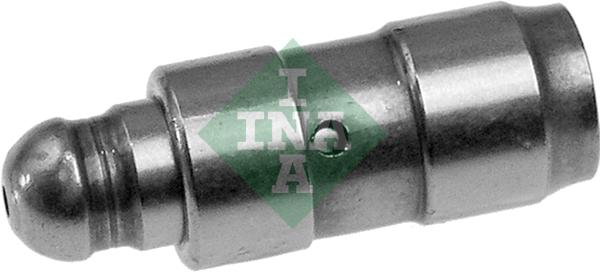 INA 420009010 Supap Itıcı - . Görsel