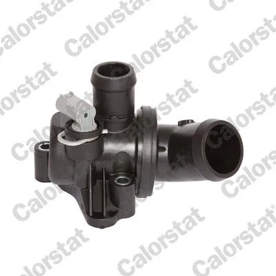 Termostat 80 °C  CALORSTAT TH6991.80J