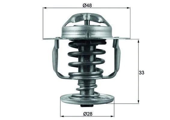 Termostat 82 °C  MAHLE TX 110 82D