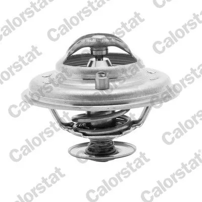 Termostat  CALORSTAT TH5973.87J