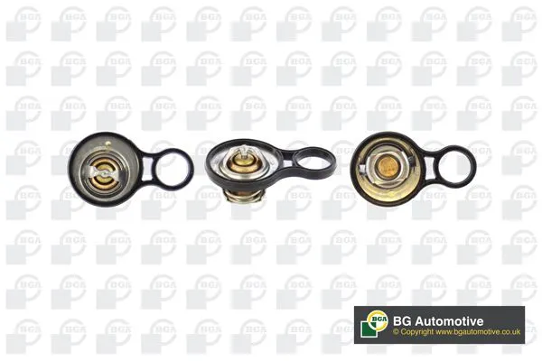 Termostat  FIAT ORJINAL 4365483