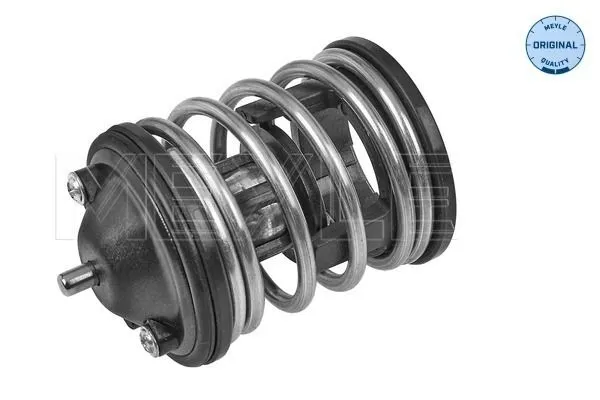 Termostat  CALORSTAT TH7287.87