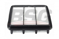 BSG 40135019 Hava Filtresi