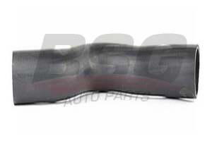 BSG 65720095 Turbo Hortumu