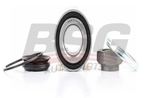 BSG 70605007 Porya Rulmanı Arka