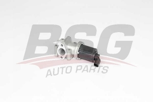 BSG 65836016 Egr Valfi