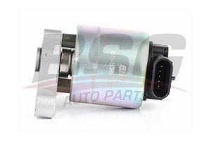 BSG 65836002 Egr Valfi
