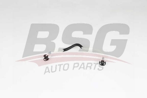 BSG 60725013 Yakıt Hortumu