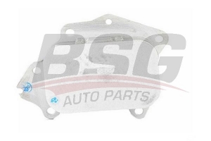 BSG 70506004 Yağ Soğutucu Radyatörü
