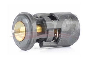 BSG 90125005 Termostat