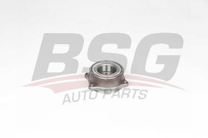 BSG 60600015 Porya Arka