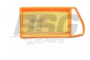 BSG 30135010 Hava Filtresi