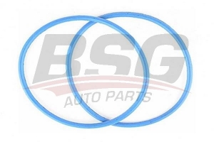 BSG 30116083 Termostat Kapak Oringi