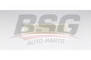 BSG 75145003 Polen Filtresi