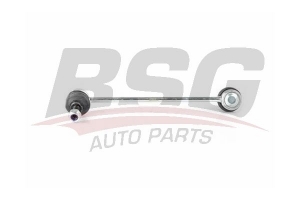 BSG 40310109 Viraj Askı Rotu Ön Sol