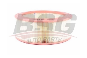 BSG 30135001 Hava Filtresi