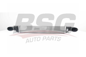 BSG 15535006 Turbo Radyatörü