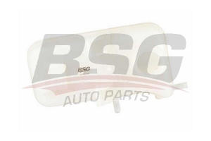 BSG 16550005 Radyatör Yedek Su Deposu
