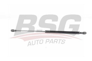 BSG 15980008 Motor Kaput Amortisörü
