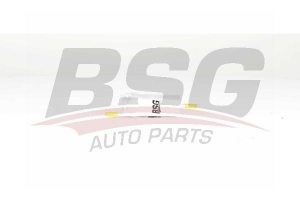 BSG 90130016 Yakıt Filtresi