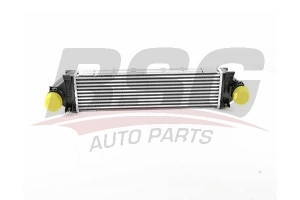 BSG 15535020 Turbo Radyatörü