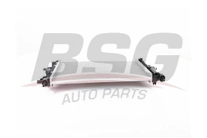 BSG 65520050 Su Radyatörü