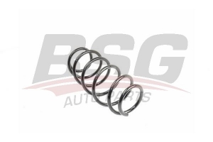 BSG 70305007 Helezon Yayı Arka