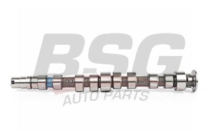 BSG 90108007 Eksantrik Mili