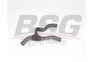BSG 65700588 Radyatör Yedek Su Depo Hortumu