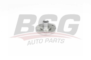 BSG 25600008 Porya Ön