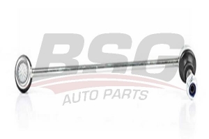 BSG 60310176 Viraj Askı Rotu Ön Sol