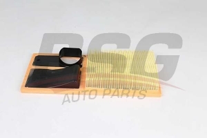 BSG 90135022 Hava Filtresi