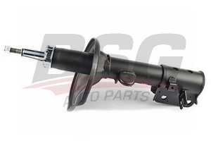 BSG 40300067 Amortisör Arka Sağ