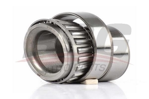 BSG 65605001 Porya Rulmanı Arka